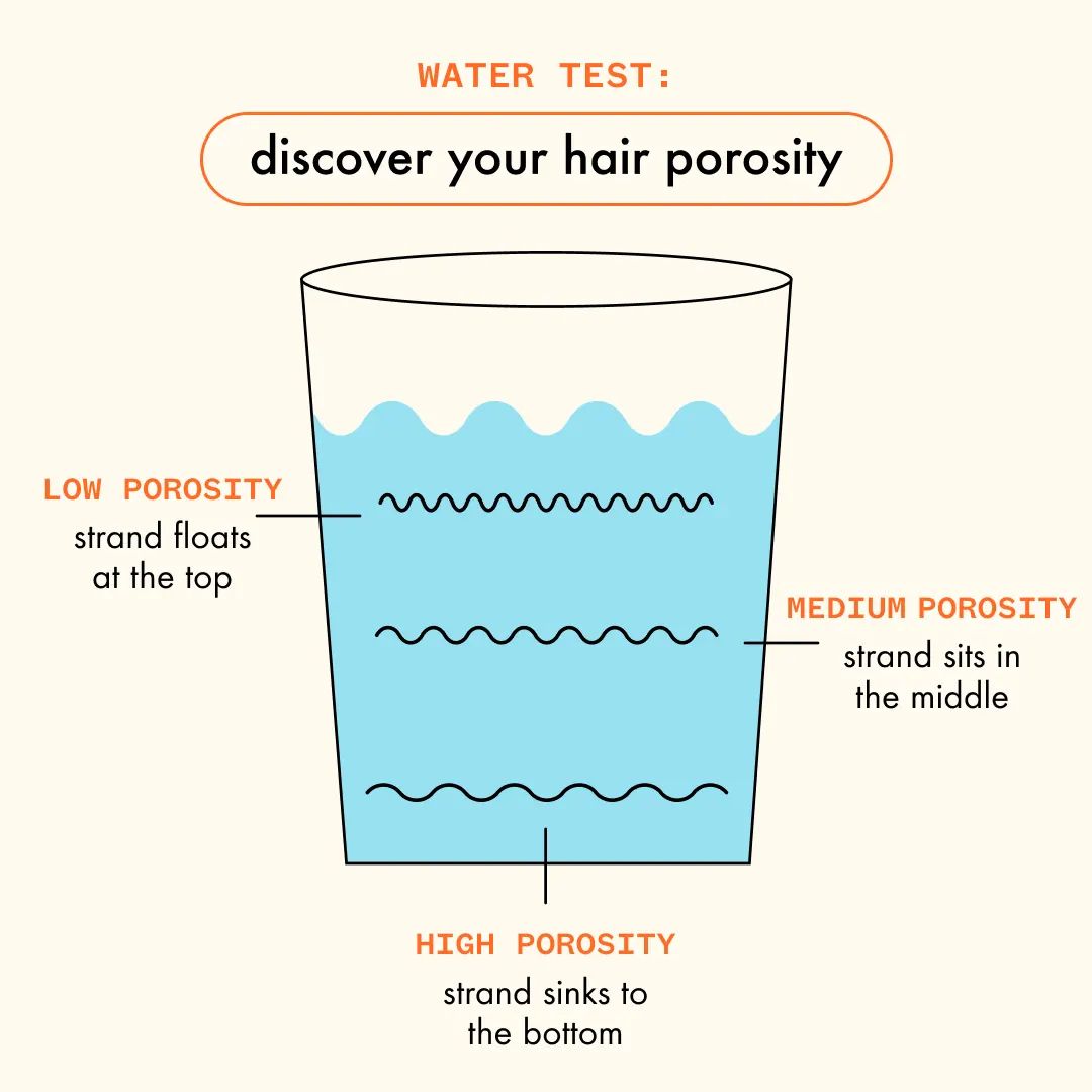 water test: discover your hair porosity infographic