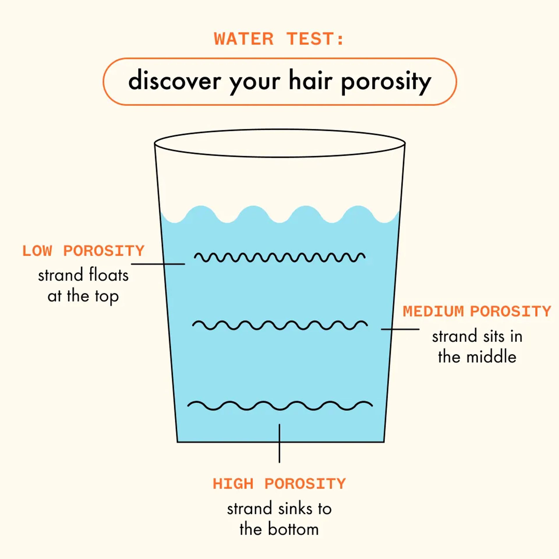 water test: discover your hair porosity infographic