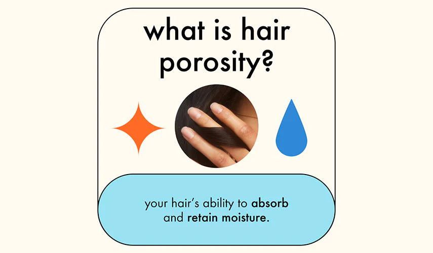what is hair porosity graphic