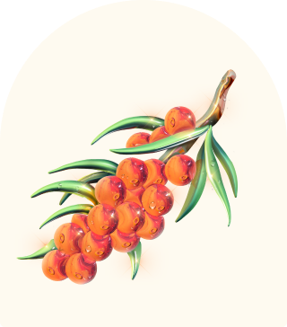 sea buckthorn berries