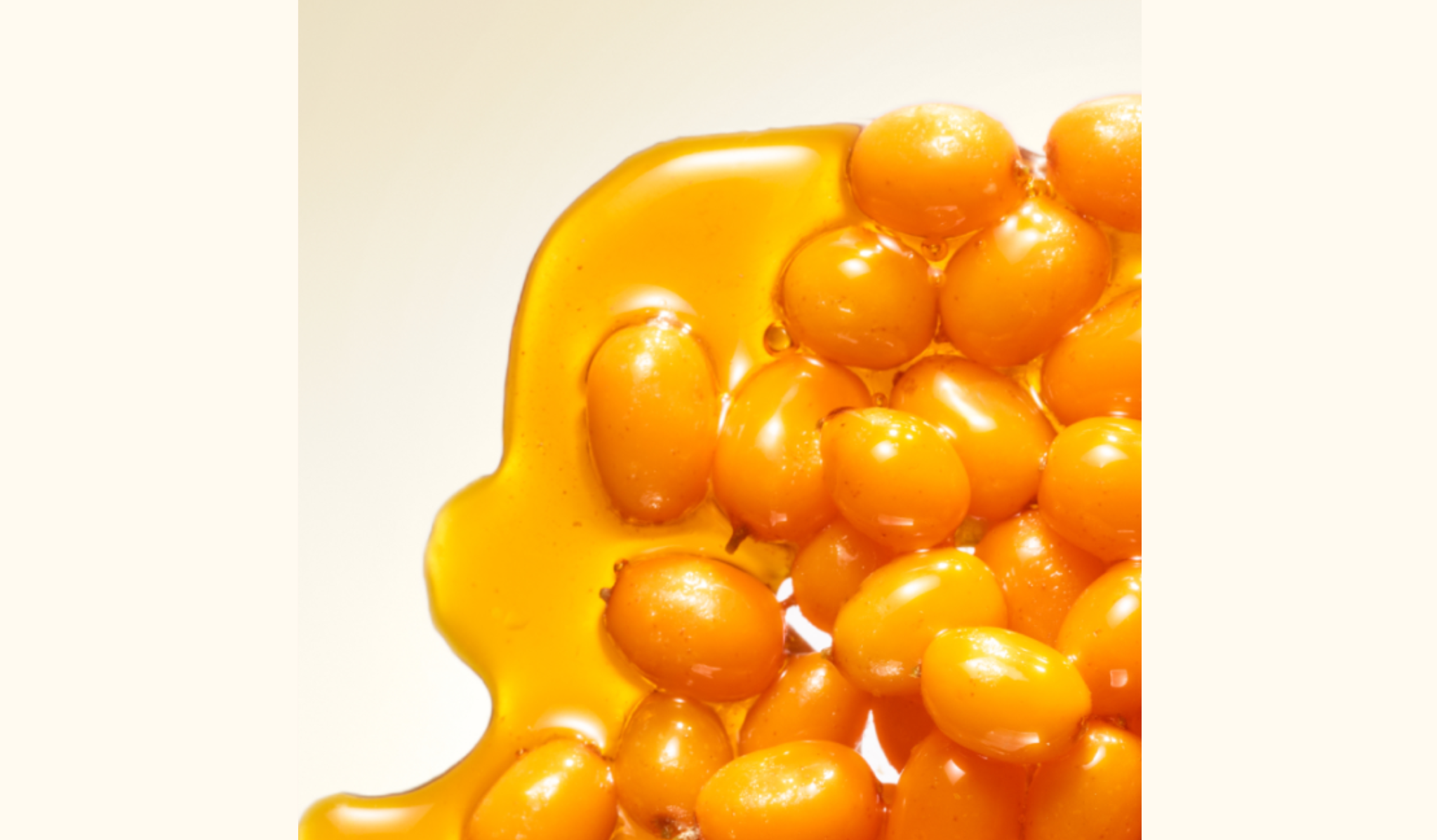 sea buckthorn ingredient image