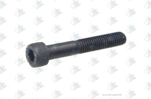 Tornillo m8×125-50/28