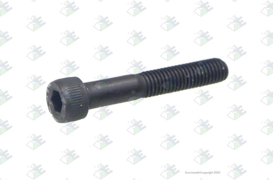 Tornillo m8×125-50/28