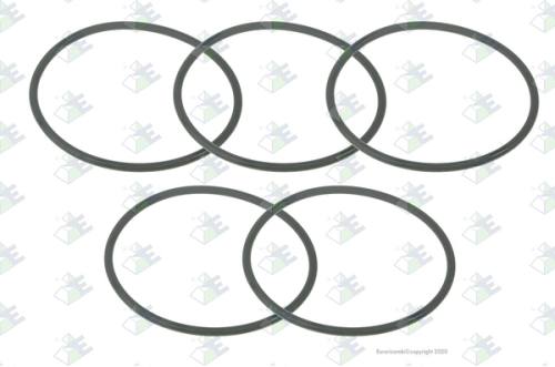 Anillo O-ring 67×3