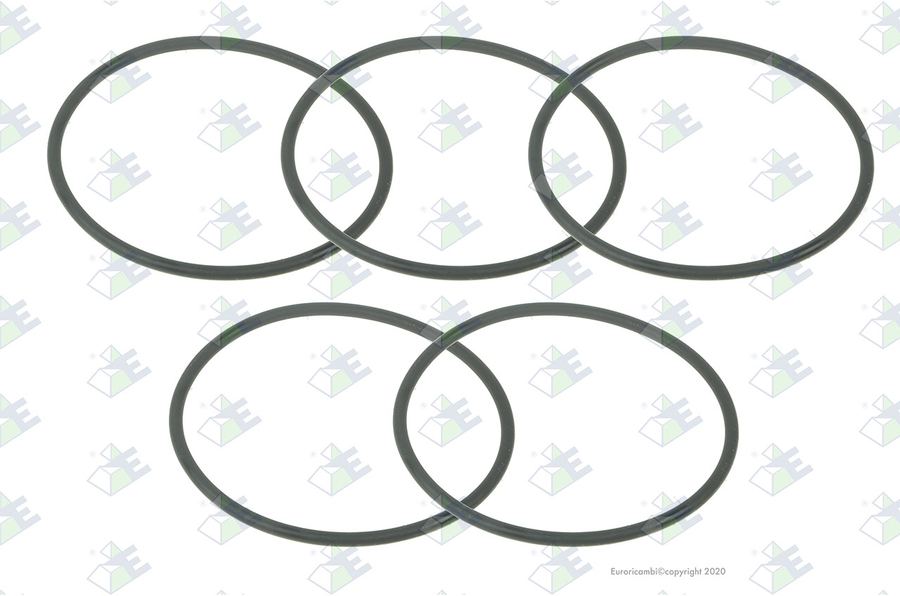Anillo O-ring 67×3