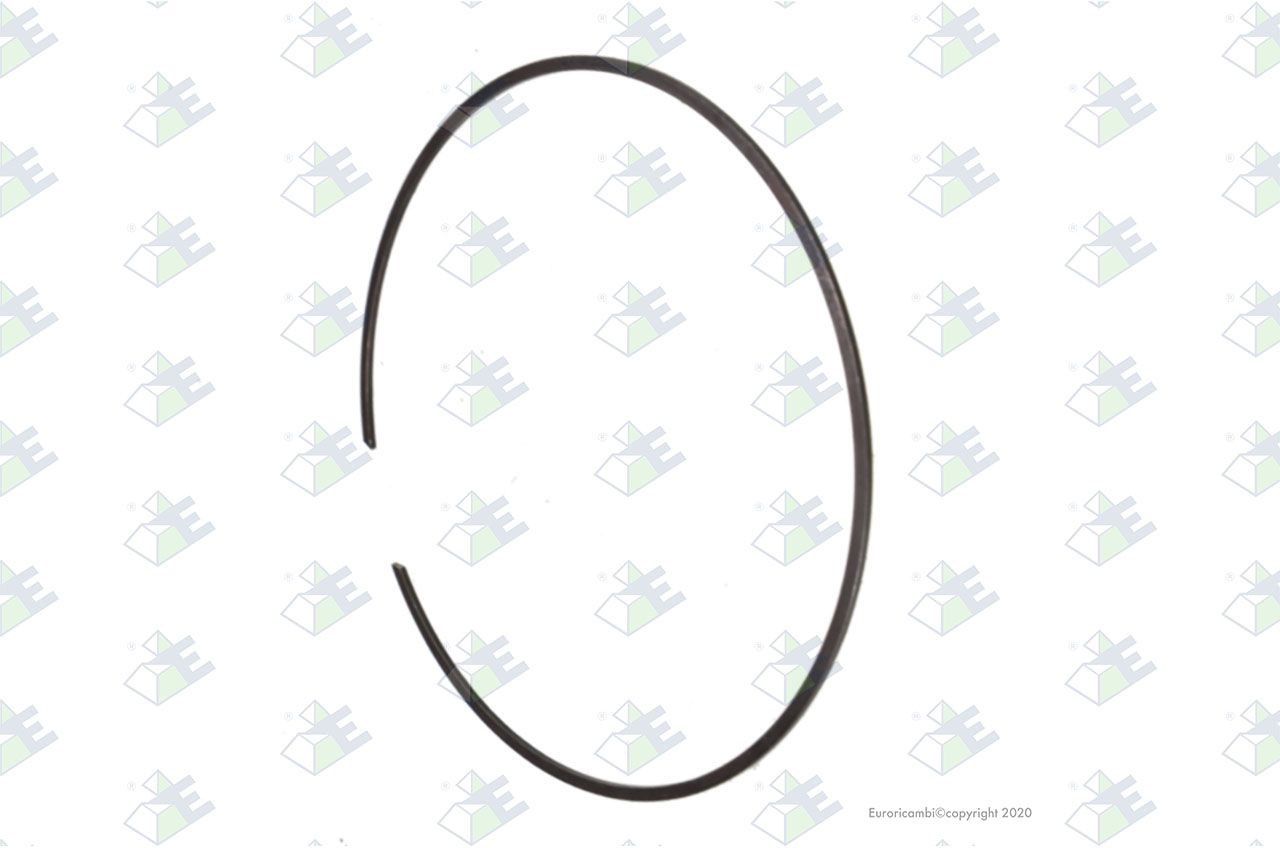 Anillo de retención