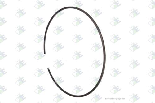 Anillo de retención