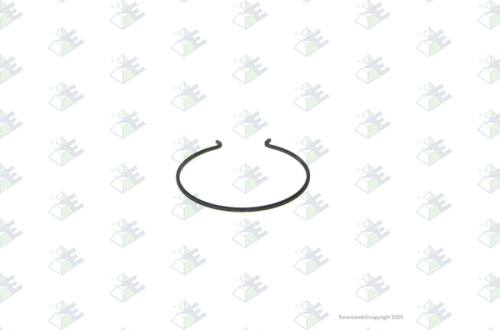Anillo de retención