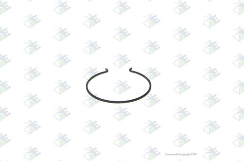 Anillo de retención
