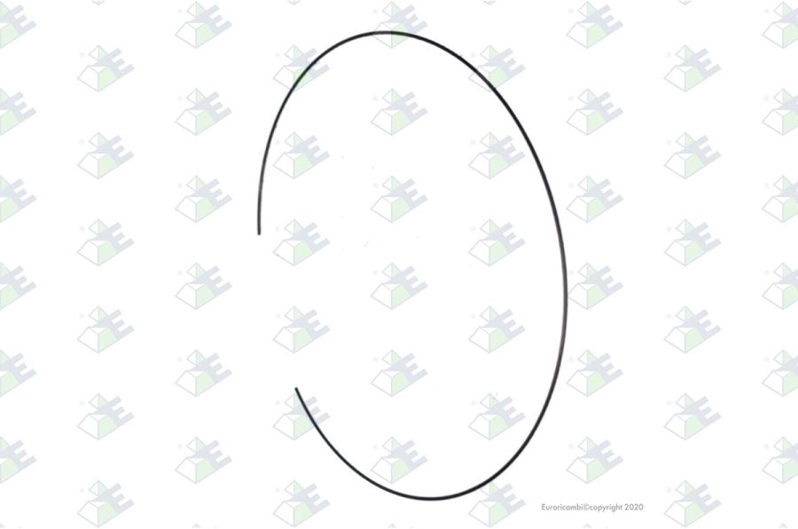 Anillo elástico