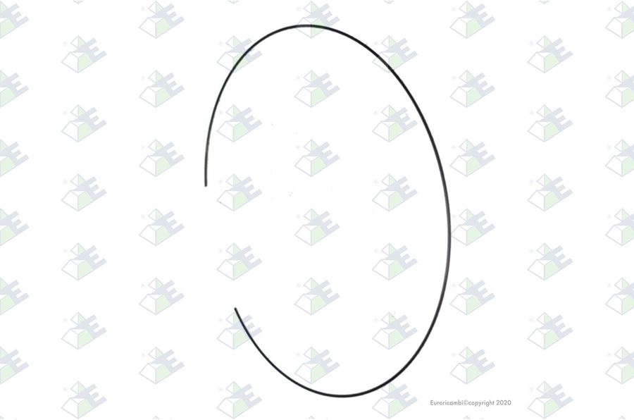 Anillo elástico