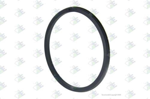 Anillo 100.2x88.4x4.80 mm