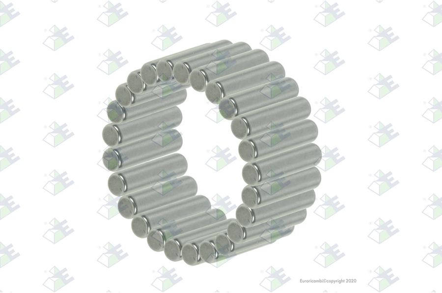 Juego rodillos (50 pzas)