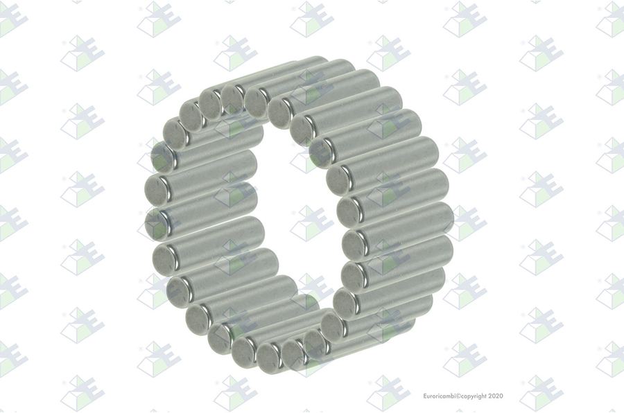Juego rodillos (50 pzas)