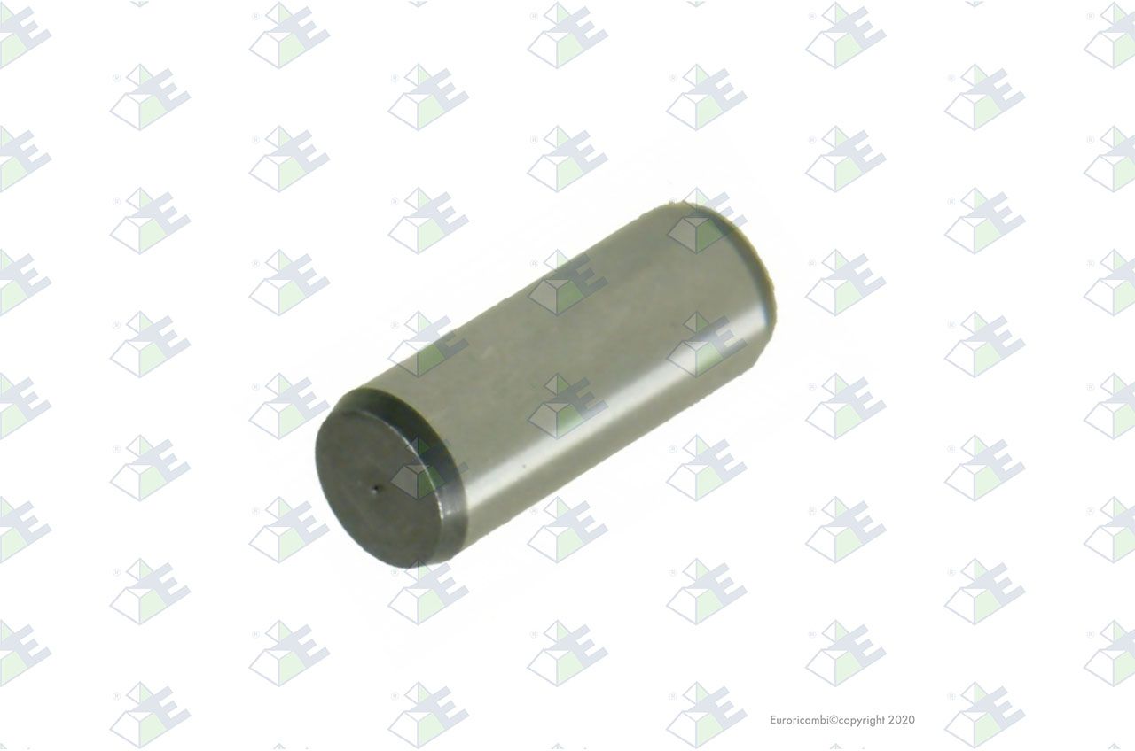 Perno 10×25