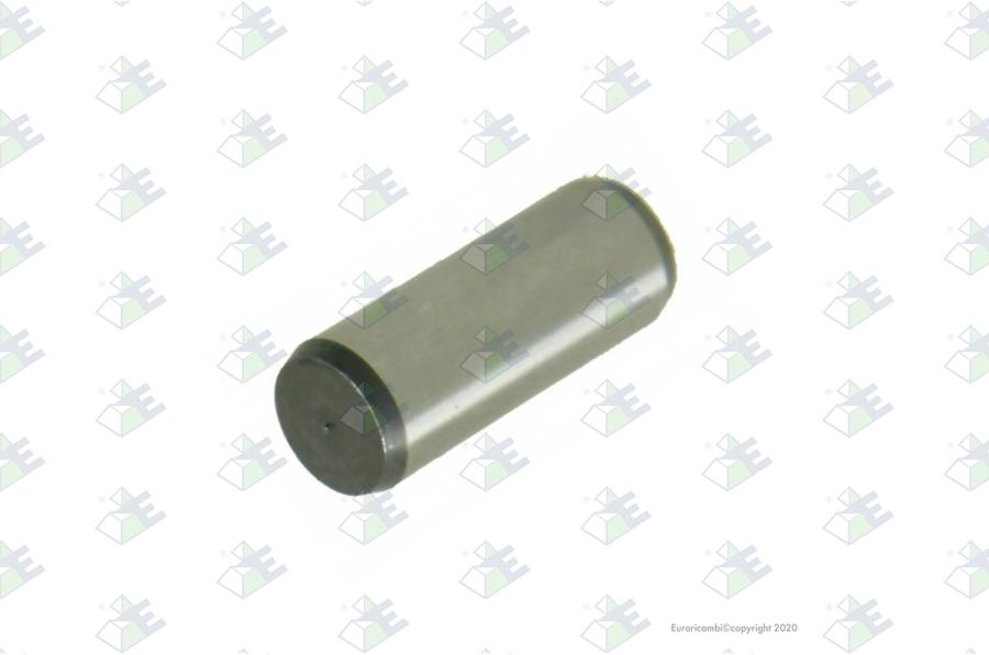 Perno 10×25