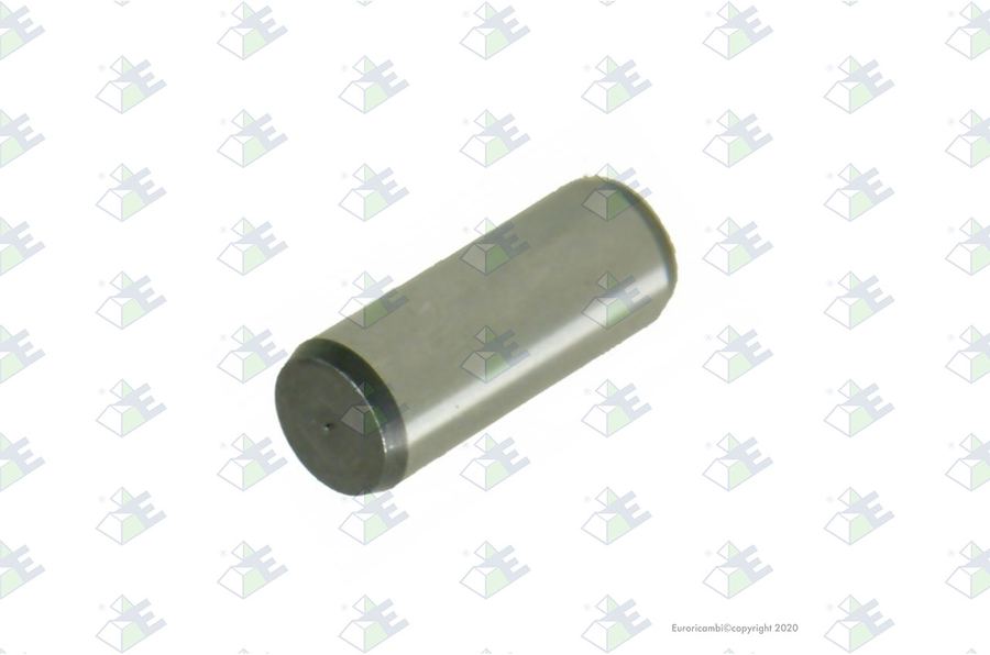 Perno 10×25