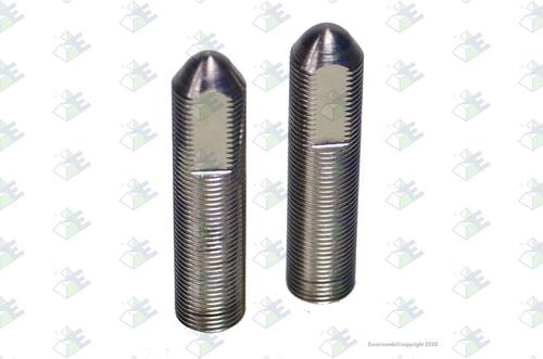 Tornillos guia corona