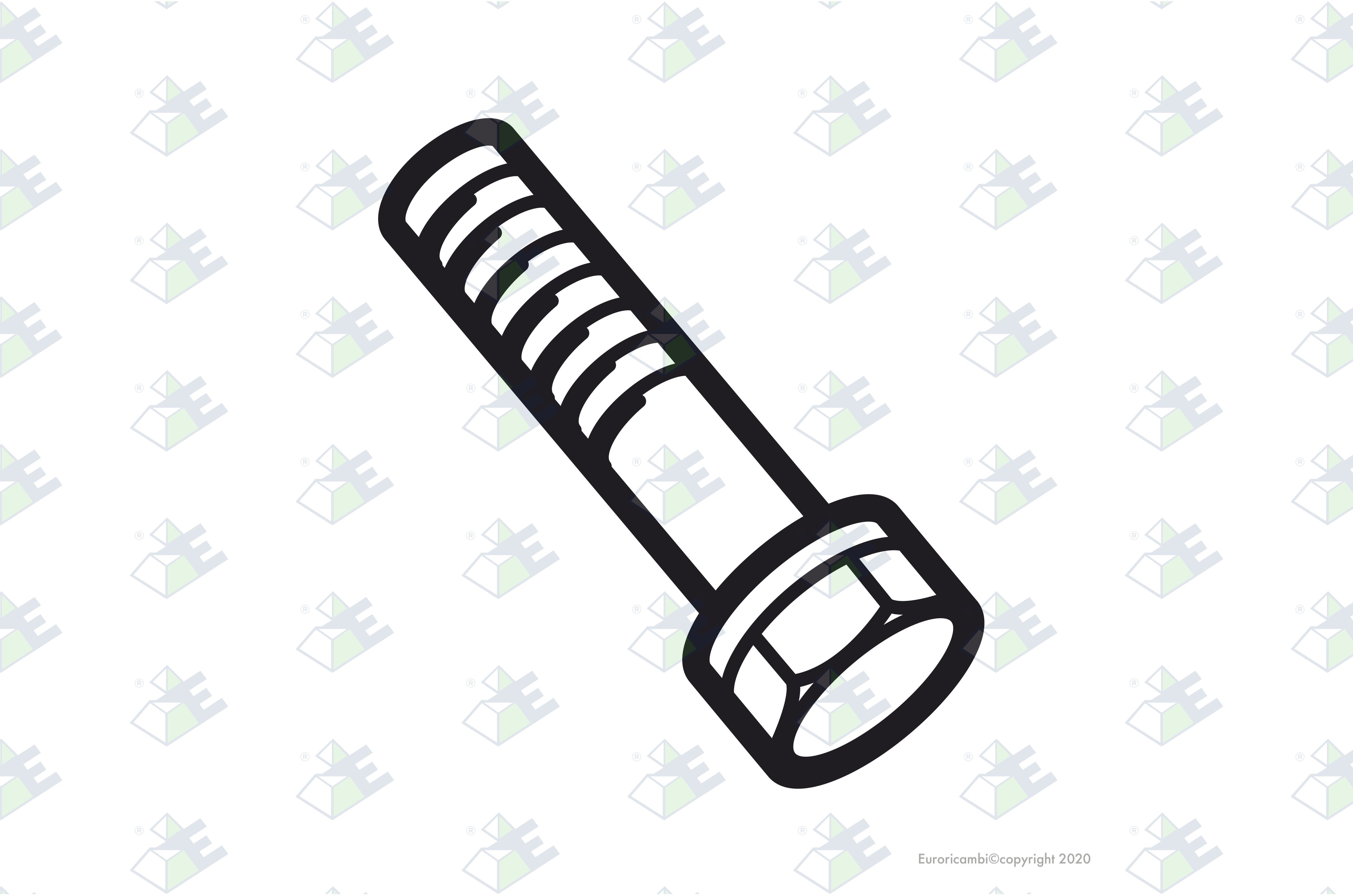 Tornillo m12×72