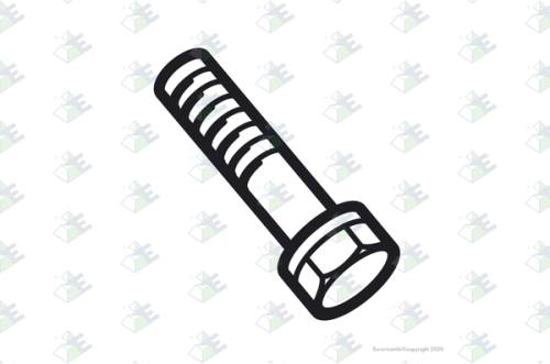 Tornillo m12×72
