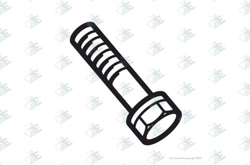 Tornillo m12×72