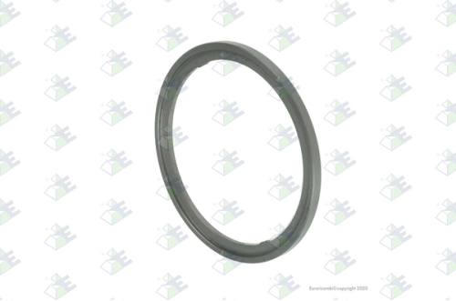 Anillo de retención