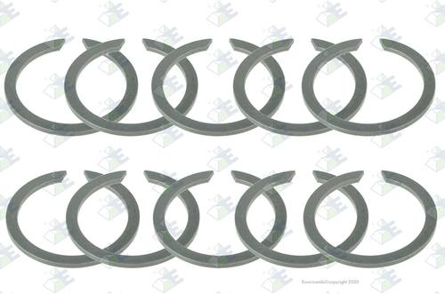 Anillo Seeger