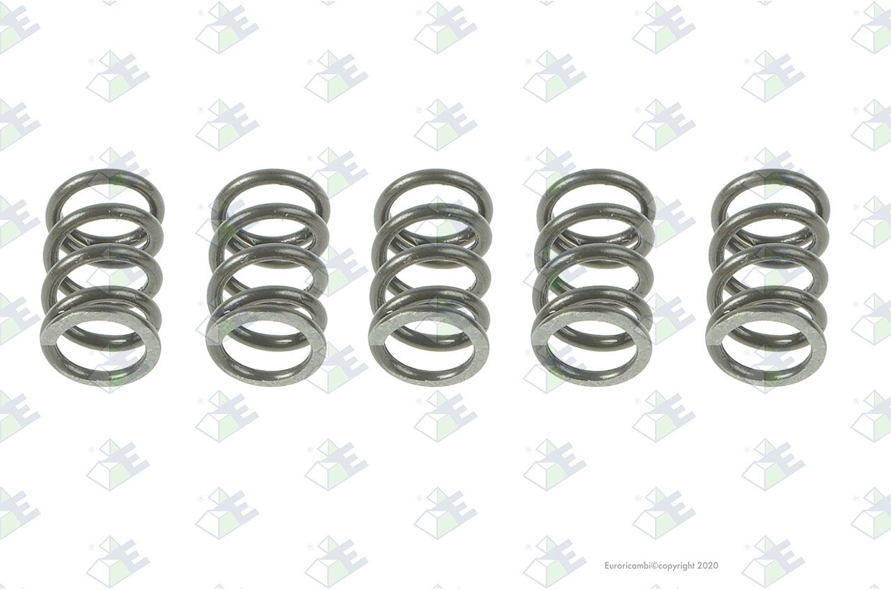 Muelle 1.25x8x15