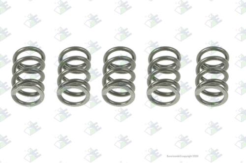 Muelle 1.25x8x15