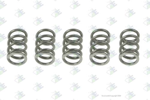 Muelle 1.25x8x15