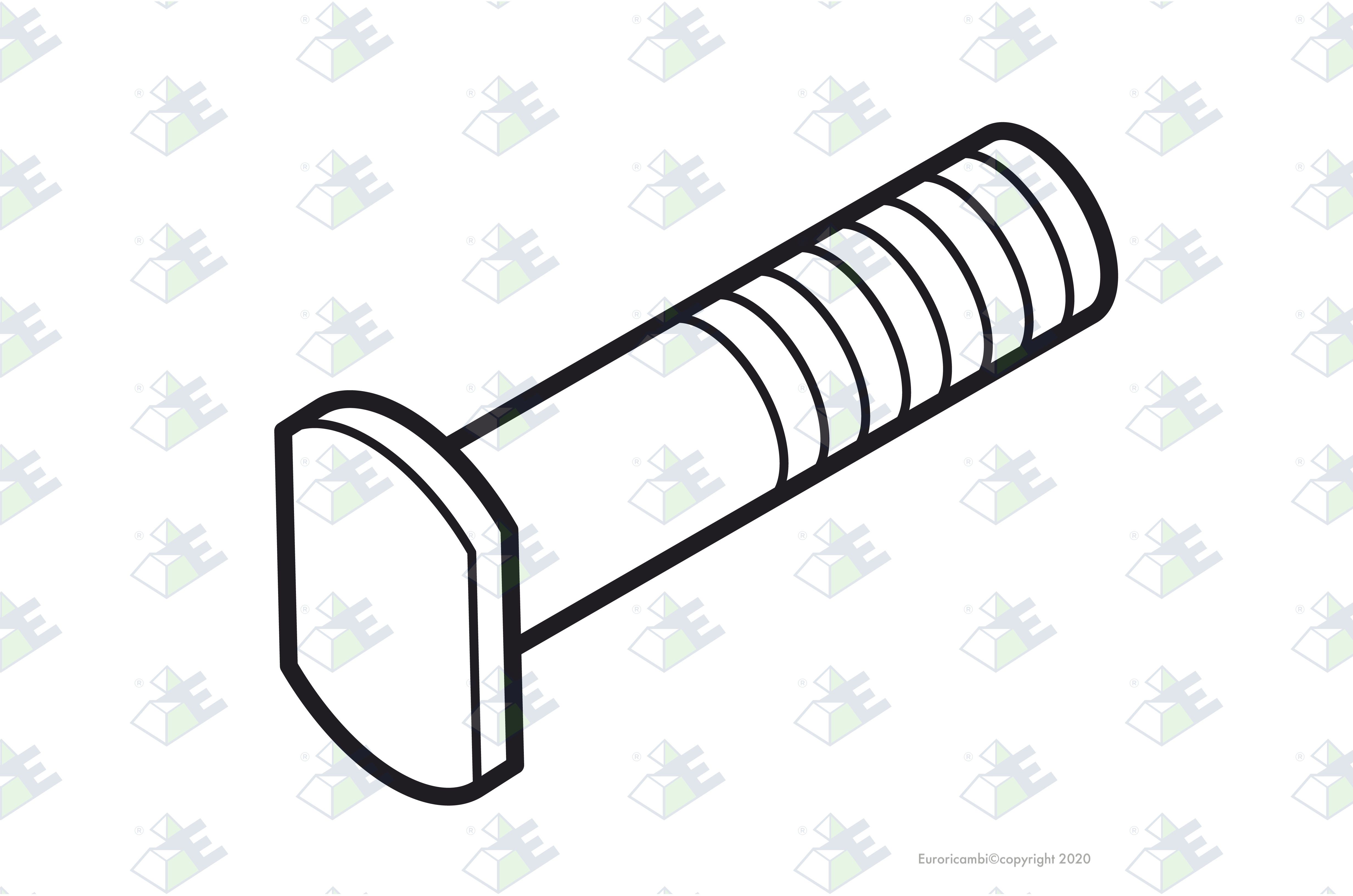 Tornillo d.18x54x2.5