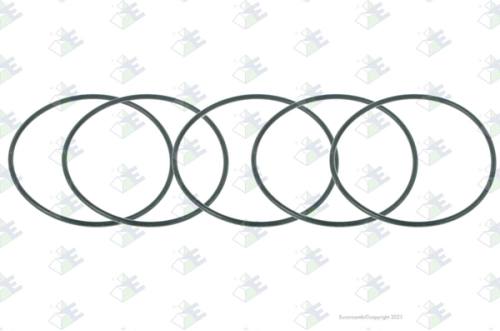 Anillo O-ring 59×2