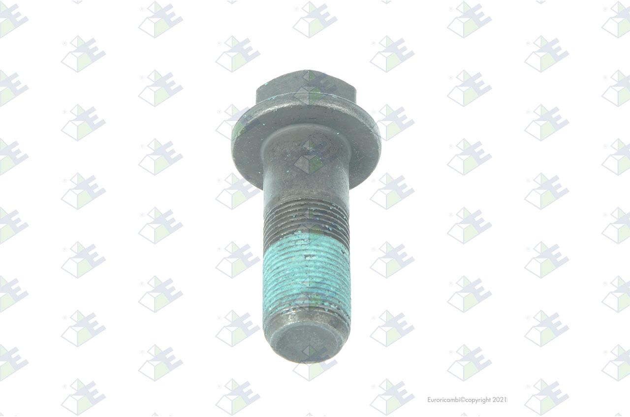 Tornillo t.e.f.m20×1.5x55