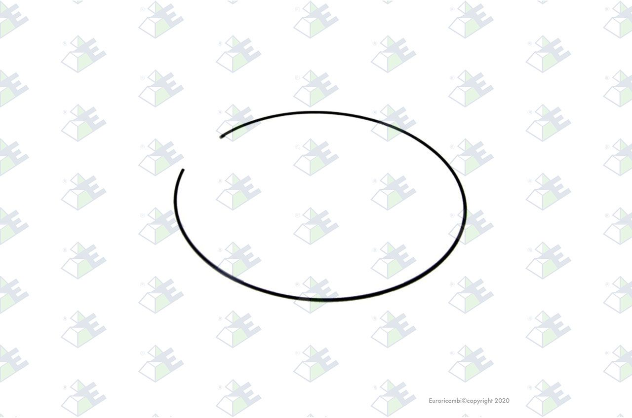 Anillo de retención