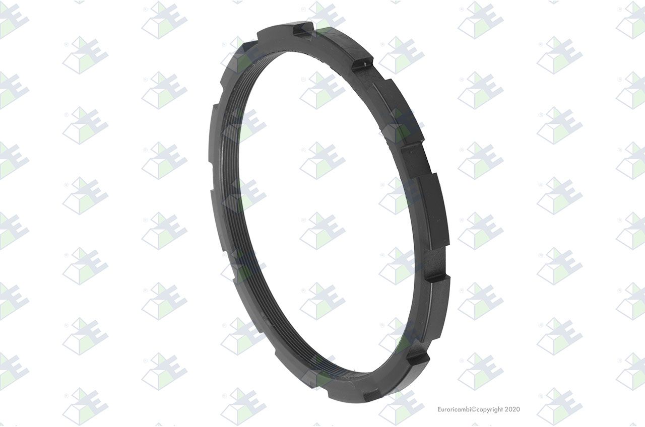 Anillo m155