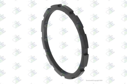 Anillo m155