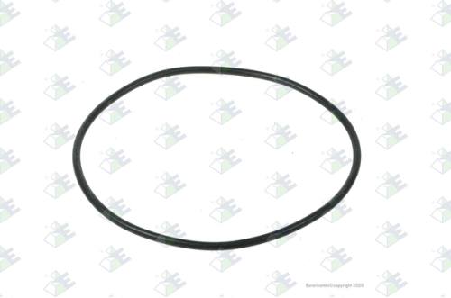 Anillo O-ring 100×3