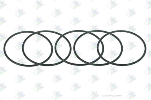 Anillo O-ring 74×3