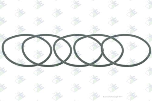 Anillo O-ring 63×3