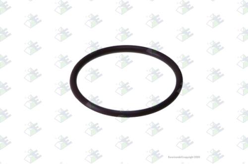 Anillo O-ring 66.04x5.34