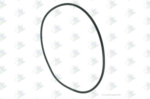 Anillo O-ring 230×5