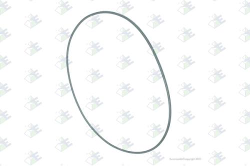 Anillo O-ring 198×3
