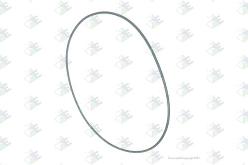 Anillo O-ring 198×3