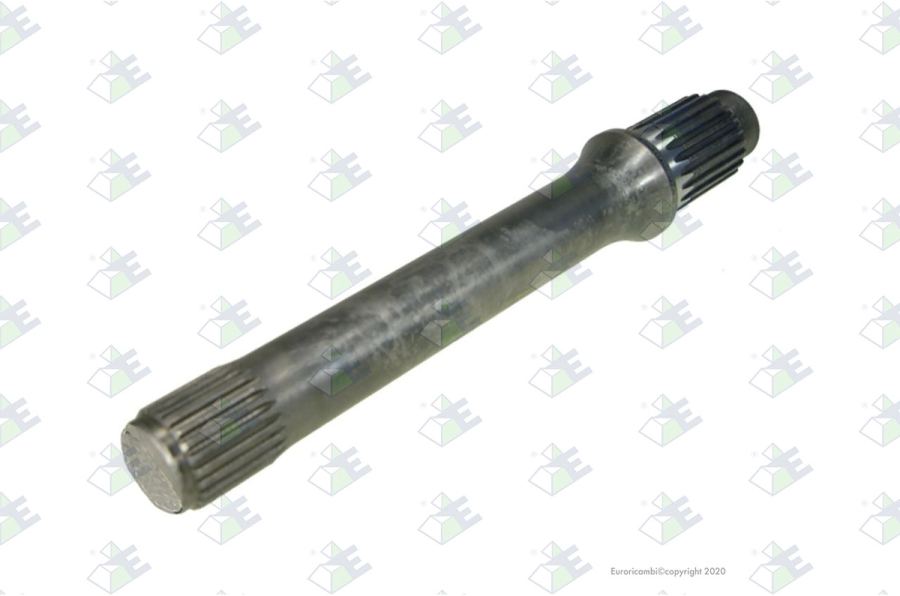 Árbol a traves