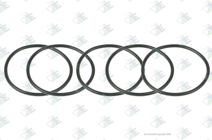 Anillo O-ring 55.6x3