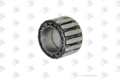 Rodami. ag. 28.5x47.6x32