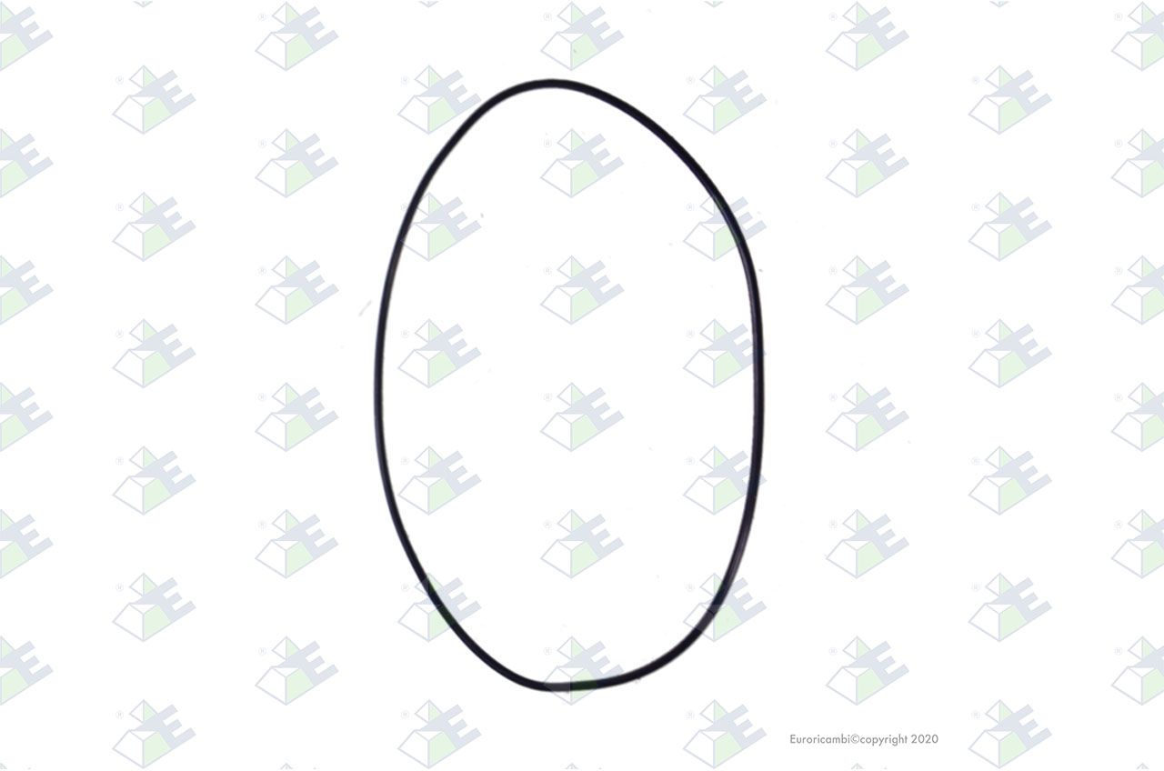 Anillo O-ring 170×3
