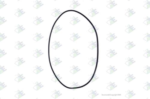 Anillo O-ring 170×3