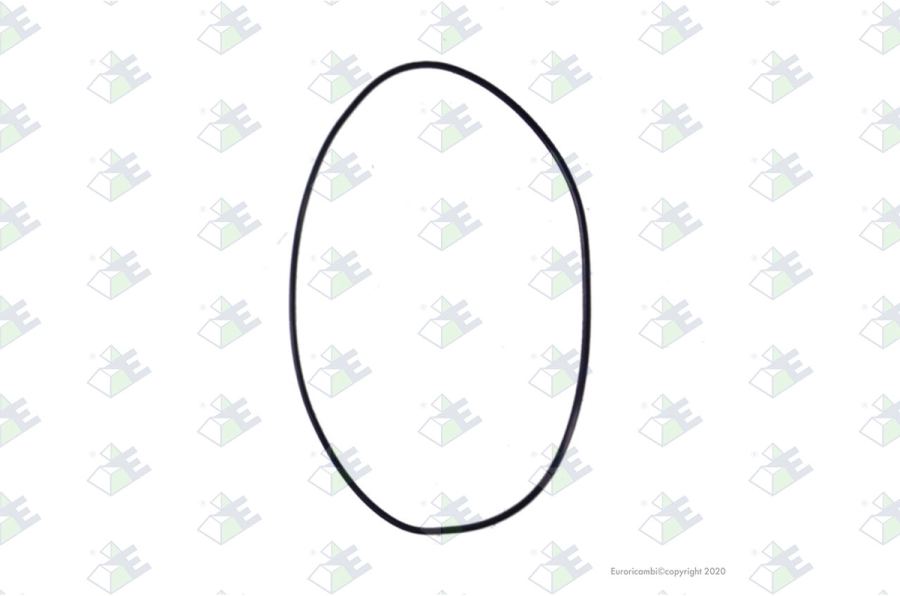 Anillo O-ring 170×3
