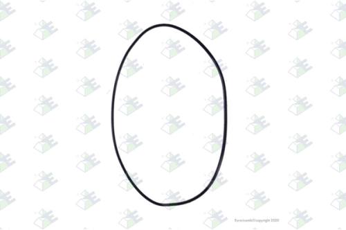 Anillo O-ring 170×3